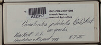 Image Associated With the Occurence